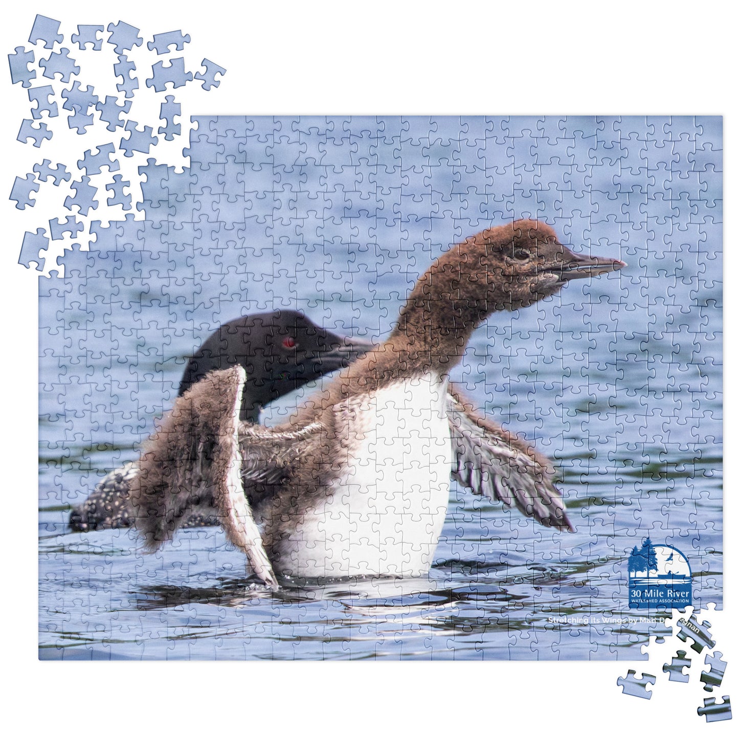 2025 Puzzle: Stretching its Wings by Matt Degnan