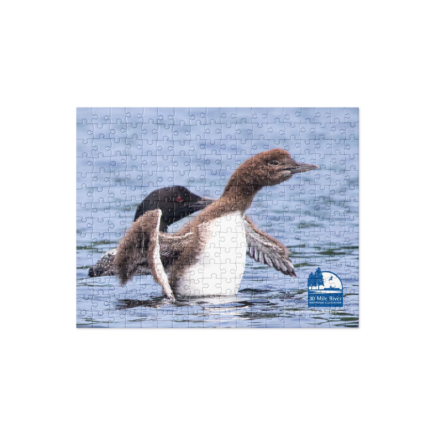 2025 Puzzle: Stretching its Wings by Matt Degnan