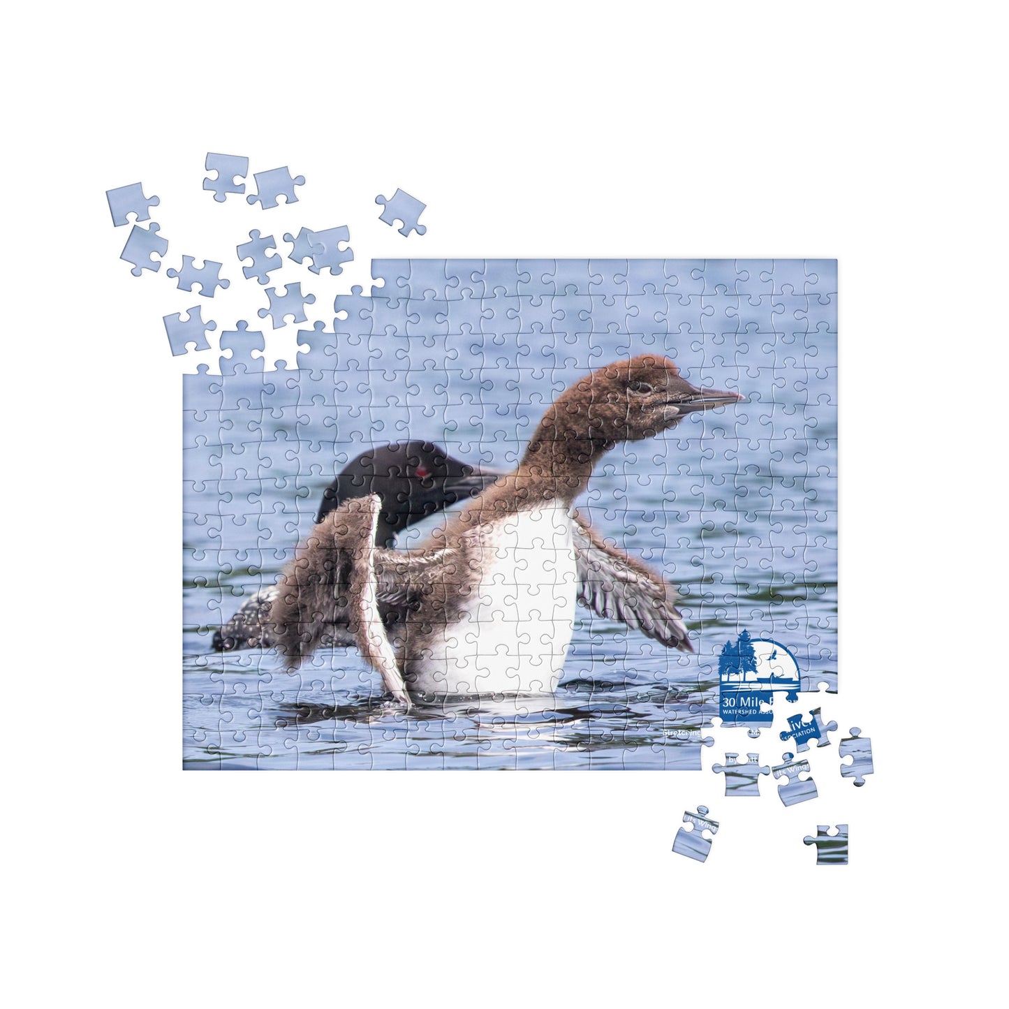 2025 Puzzle: Stretching its Wings by Matt Degnan