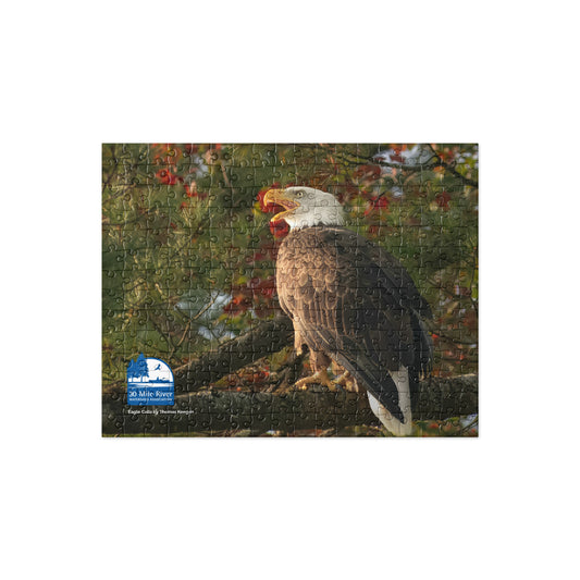 2025 Puzzle: Eagle Calls by Thomas Keegan