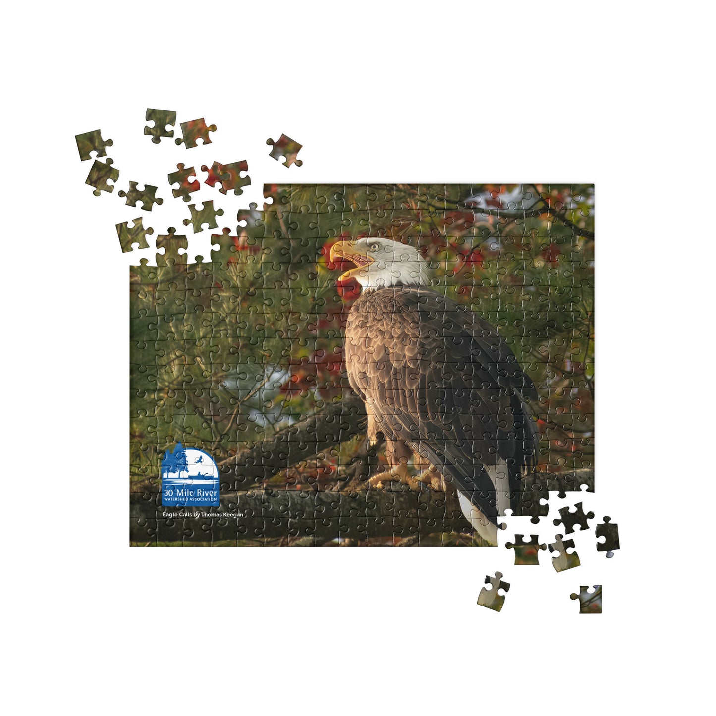2025 Puzzle: Eagle Calls by Thomas Keegan