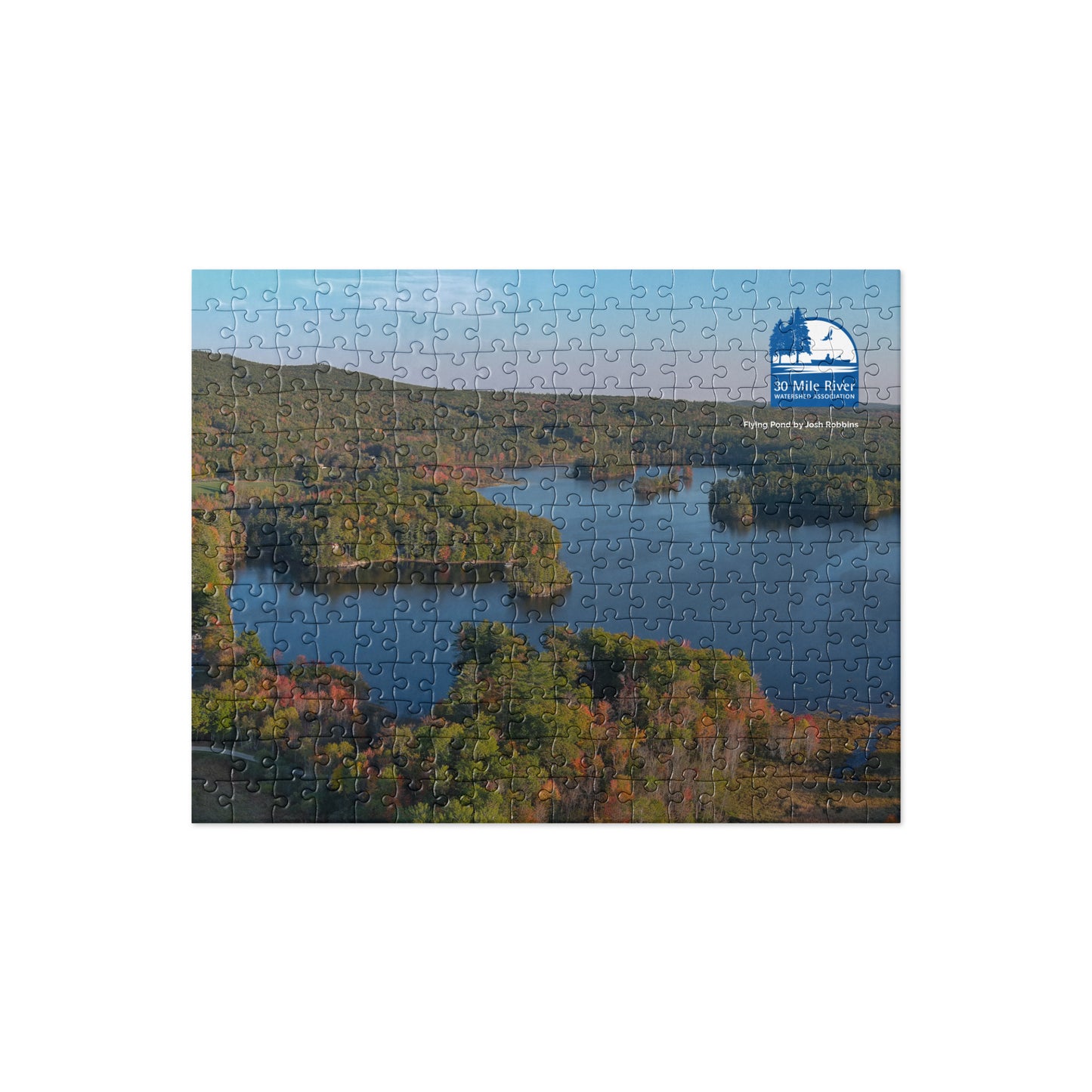 2025 Puzzle: Flying Pond by Josh Robbins