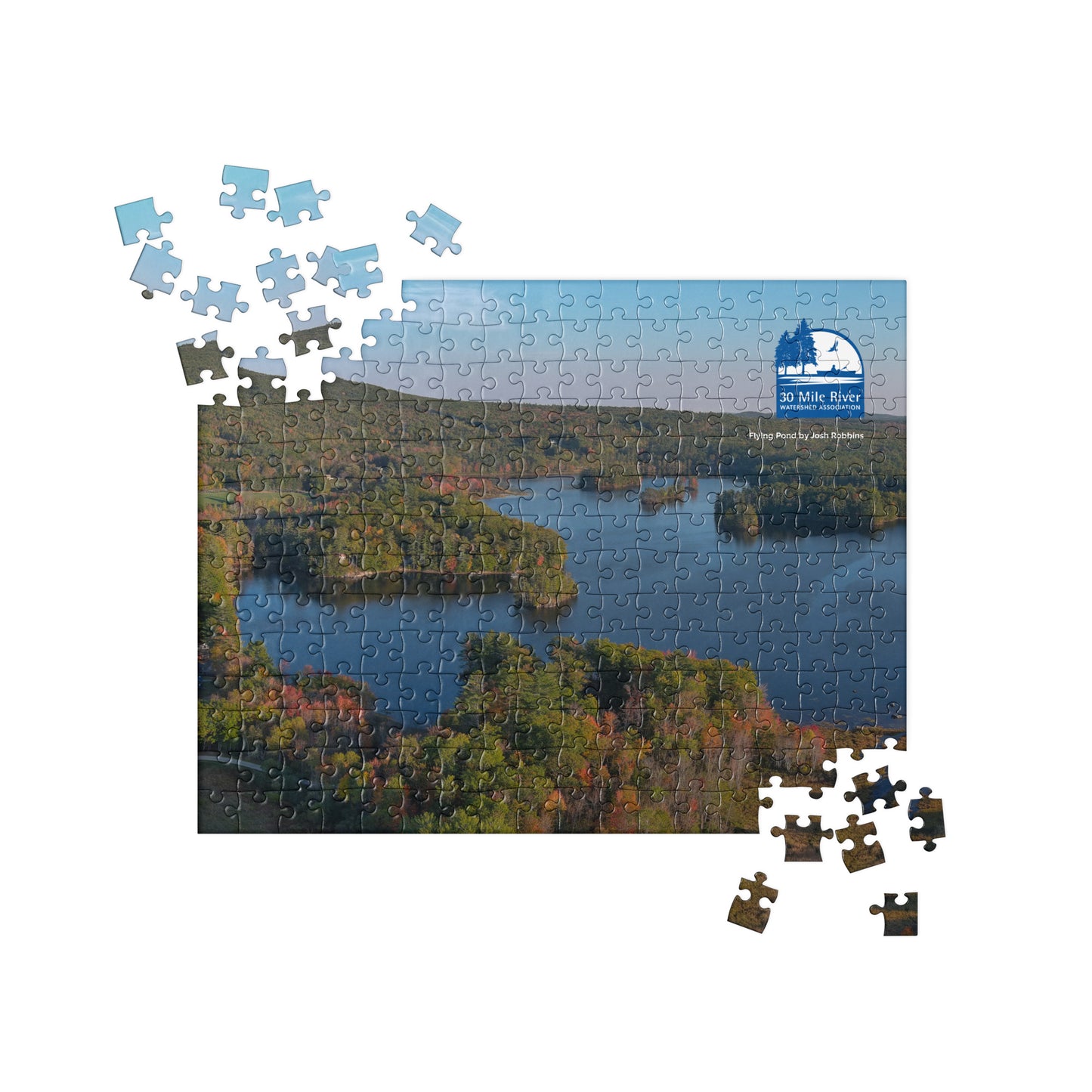 2025 Puzzle: Flying Pond by Josh Robbins