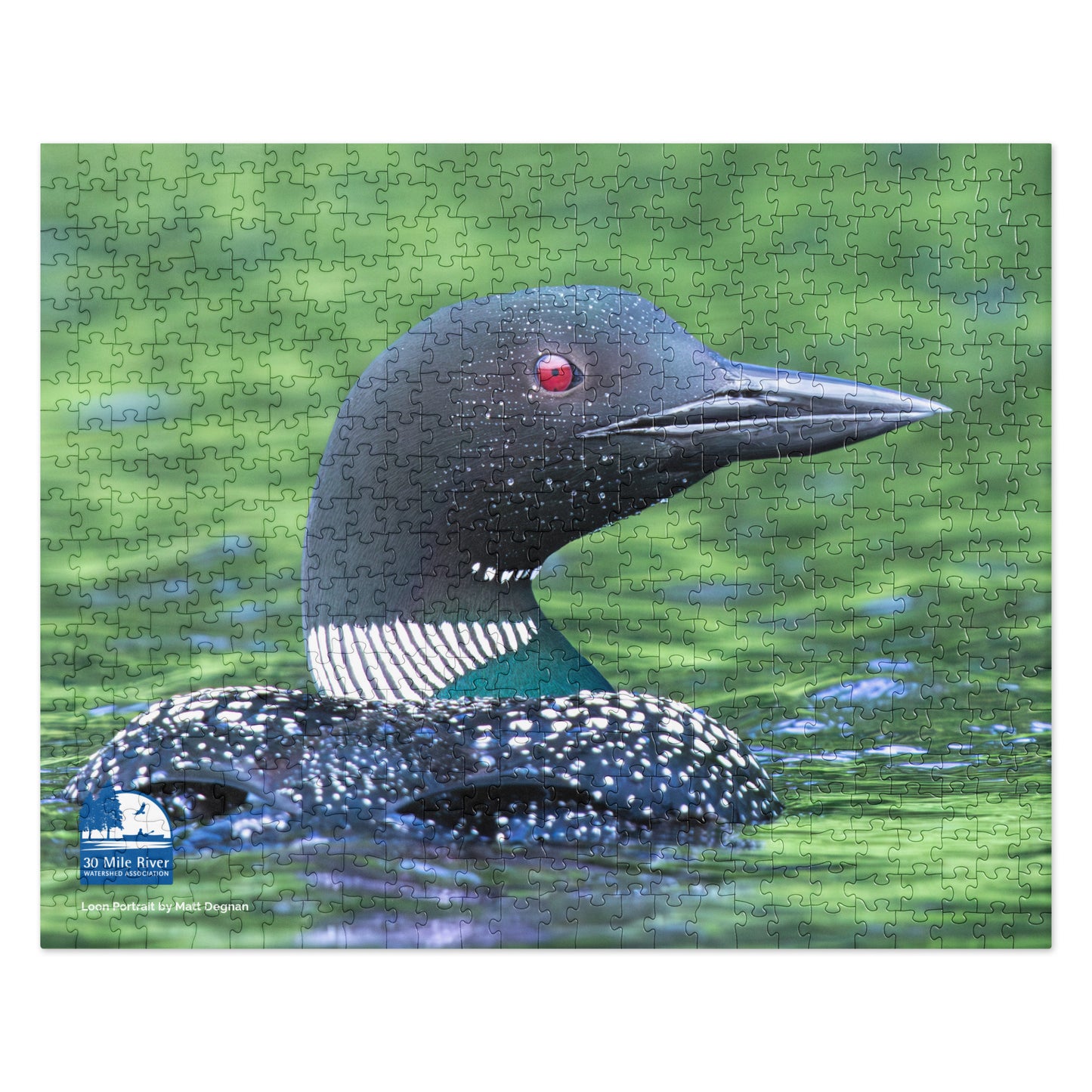 2024 Photo Contest Puzzle: Loon Portrait by Matt Degnan