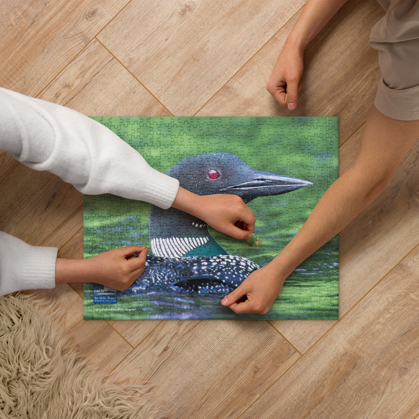 2024 Photo Contest Puzzle: Loon Portrait by Matt Degnan