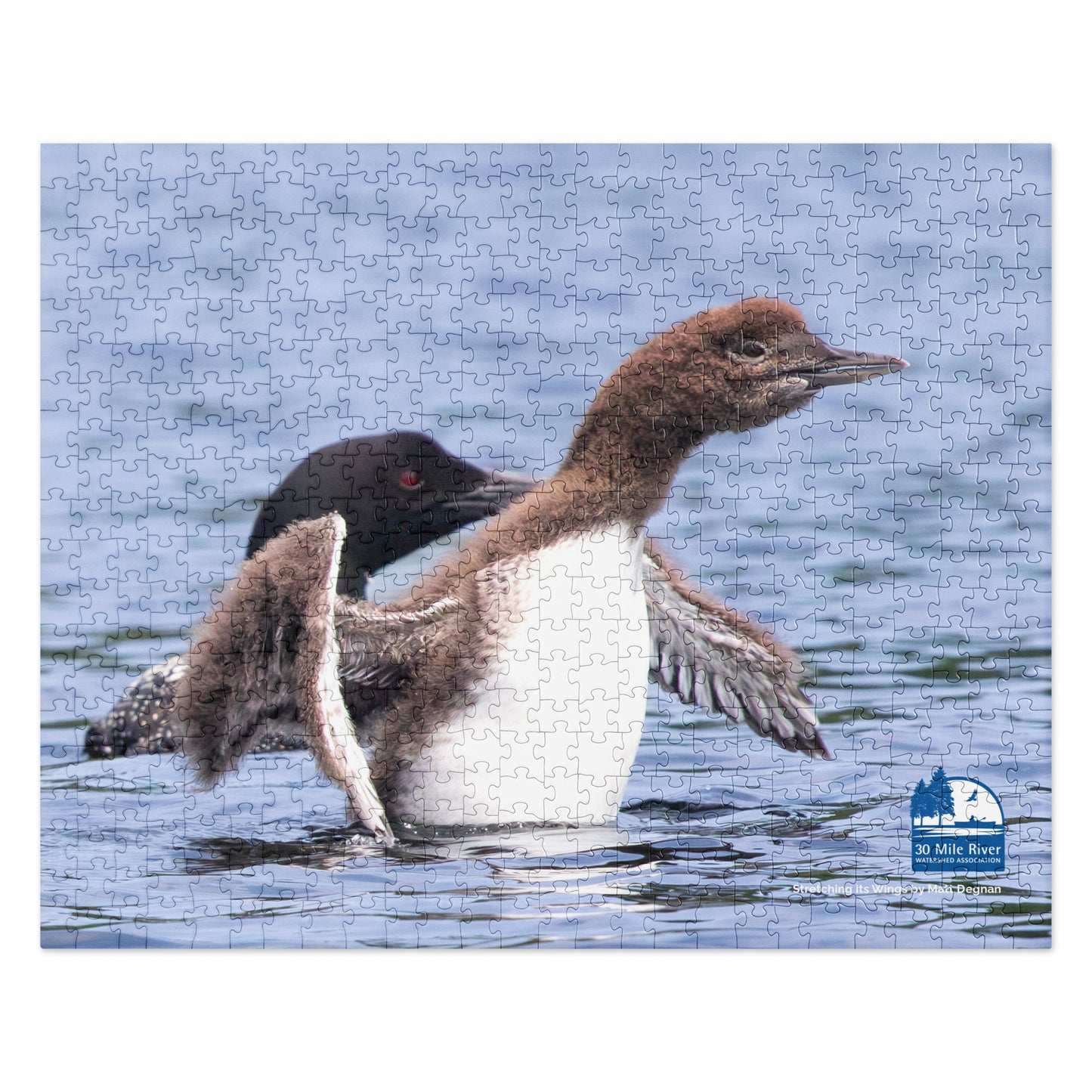 2025 Puzzle: Stretching its Wings by Matt Degnan