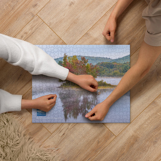 Puzzle: First Fall Foliage, Flying Pond by Karen Kurkjian