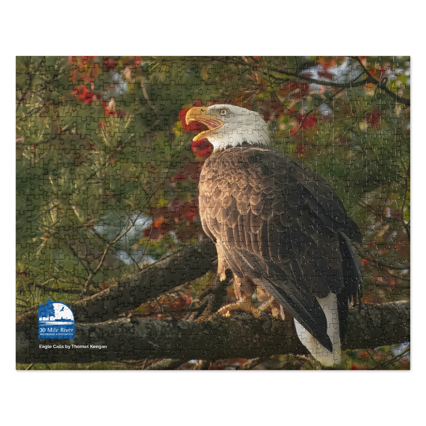 2025 Puzzle: Eagle Calls by Thomas Keegan