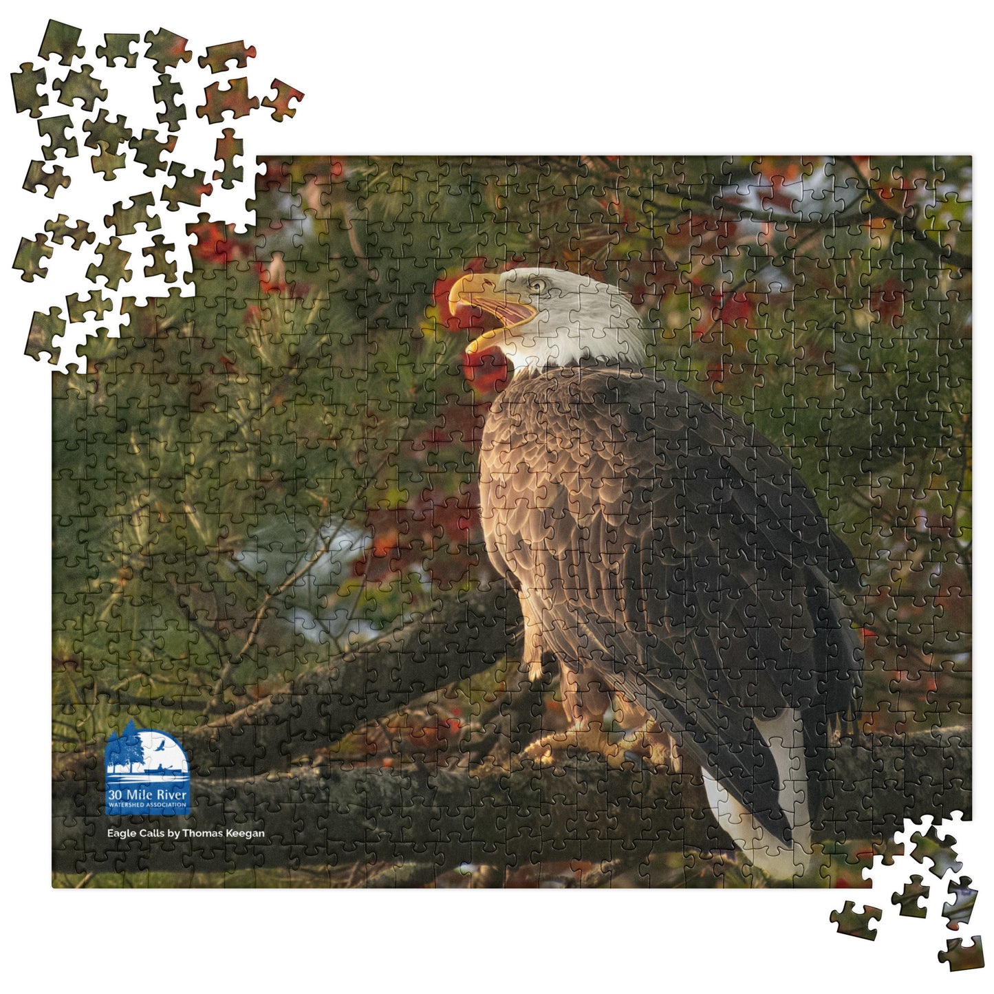 2025 Puzzle: Eagle Calls by Thomas Keegan
