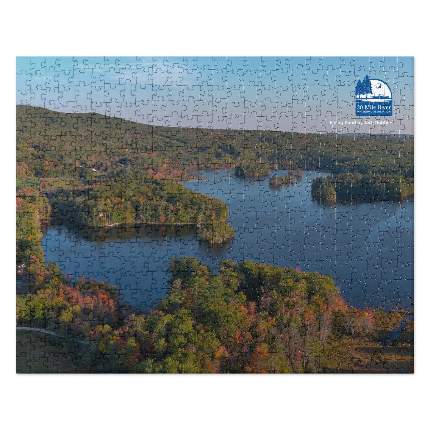 2025 Puzzle: Flying Pond by Josh Robbins