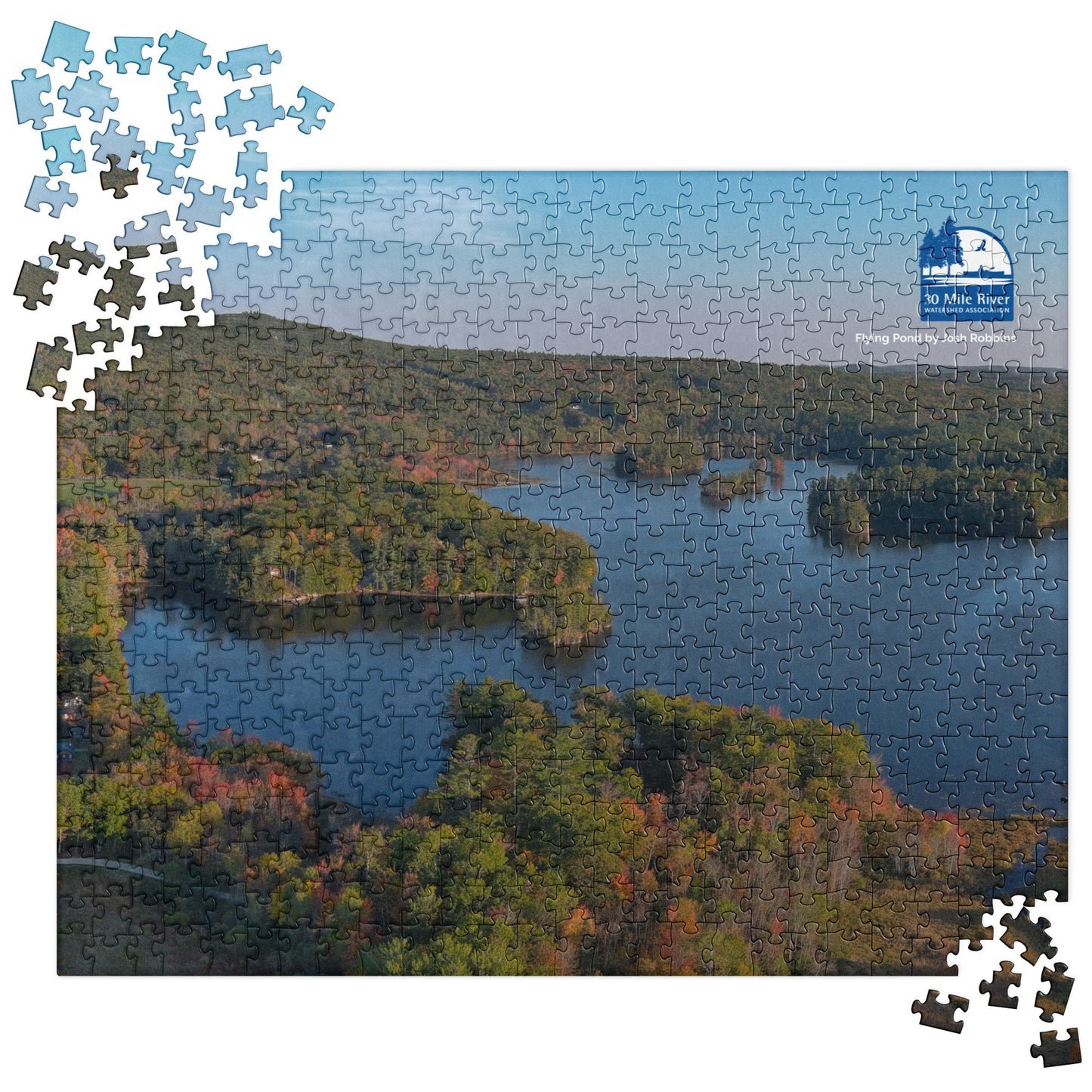 2025 Puzzle: Flying Pond by Josh Robbins